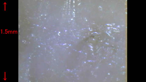 頭皮 ギトギト 1695